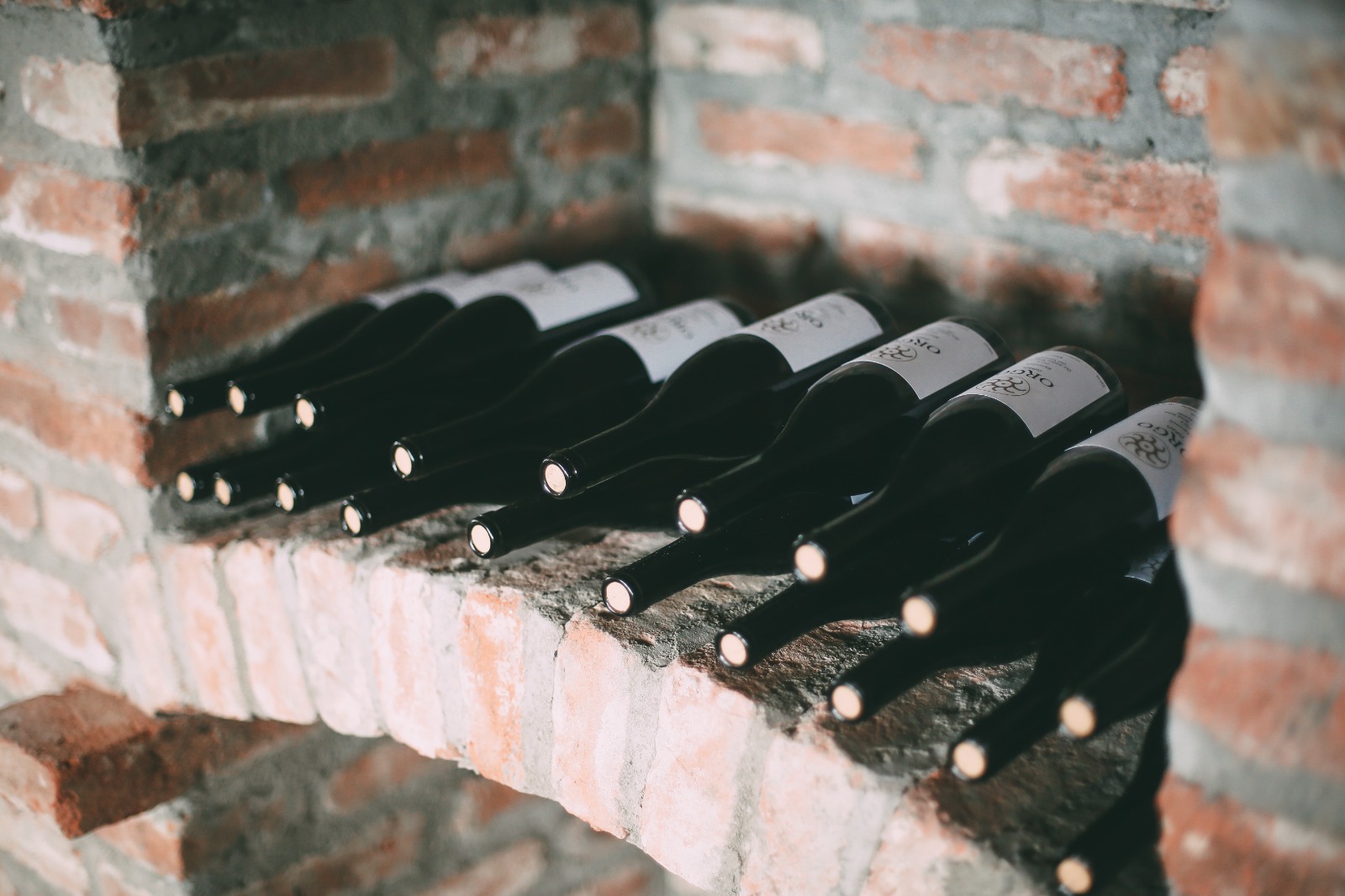 ბორჯრალი და მარადისობა